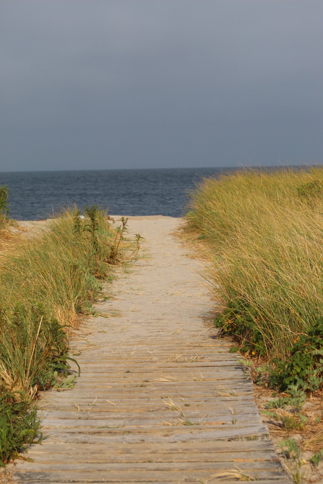 leeyumreynolds's profile picture. I DONT USE THIS