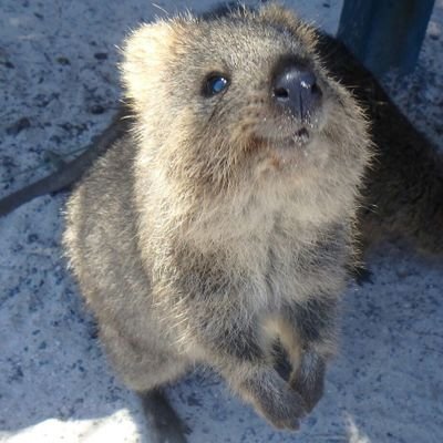 x9anEMVQWnPSawW's profile picture. 