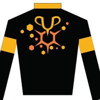 Honeycomb Stud (@honeycombstud) 's Twitter Profile