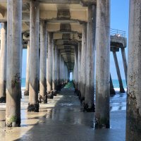 Audrey Q (@audreyquistorff) 's Twitter Profile