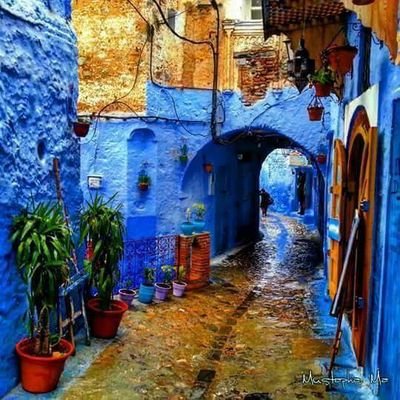 chawni42's profile picture. 