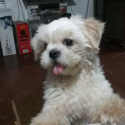 isolatedcactus's profile picture. im just here.. hanging on