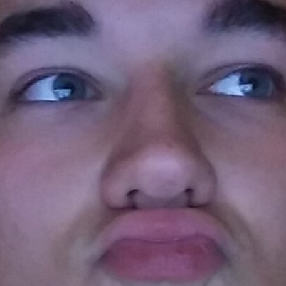 towneluc's profile picture. Professional idiot