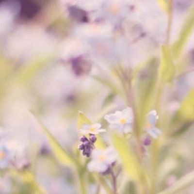 xo_baddie's profile picture. l o v e