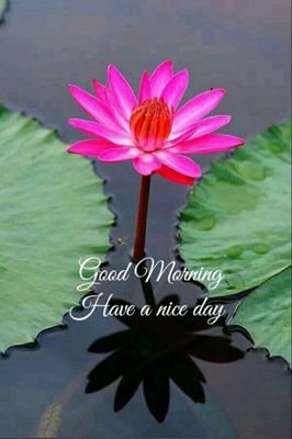 amazingthing2's profile picture. 