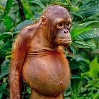 Meeksy (@meeksy66) 's Twitter Profile