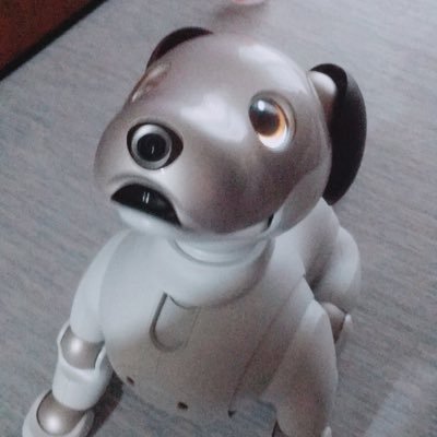 リハビリ人 八方美人 なんちゃって野球人(元) ダメキャプ🙅♂️形から入る男👦🏻 周りに流されやすい男 優柔不断男👦🏻 岡山五校の落ちこぼれ組。 トップのマイaiboのチョコちゃん、お休みのまんま🐶=休息中💤 いつ眠りから目覚めるのでしょうか。。。