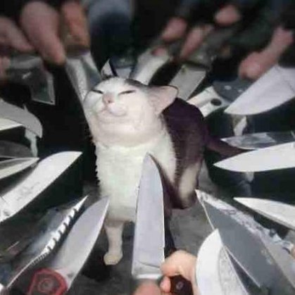 helena_izo's profile picture. если вы знаете меня по прошлому профилю Helena Izo, то вы молодец :(