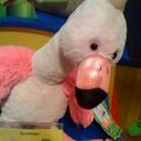 Cody Wiley - @swimm500 - Twitter