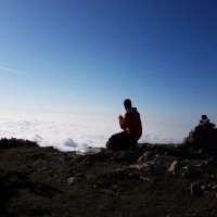 OriolC (@uri__21) 's Twitter Profile