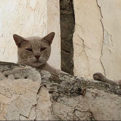 iOmXza0YR8ZmgQV's profile picture. #180.70.G.徒然なるままに思い付いたことを垂れ流しています。