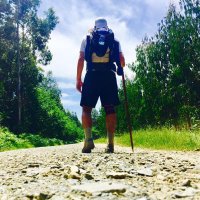 Javier F. Mardomingo (@jfmardomingo) 's Twitter Profile