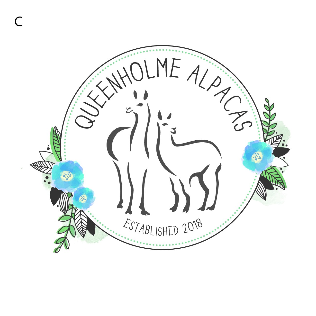 QHalpacas's profile picture. A little piece of Peru in the Cambridgeshire Fens 🦙 Alpaca Experiences, Breeding (BAS registered), Therapeutic Interventions. Arable farming.