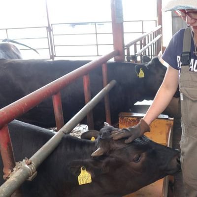 d5tfEGrU6E4jENH's profile picture. 関西出身、北海道在住の牛飼いです。しじゅうを越えたババァですが女手一つで2017年9月新規就農しました。始めて一年後に主人も脱サラして2馬力に。現在 F1 哺乳〜育成牛を日々癒やされながら飼養してます。無言フォローごめんなさい、よろしくお願いします。