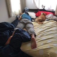 Tommy (@moviedirector55) Twitter profile photo