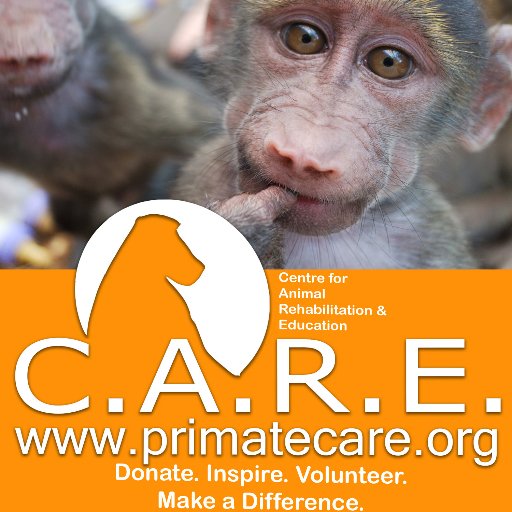 PrimateCare's profile picture. C.A.R.E. is a wildlife orphanage in South Africa dedicated to primate conservation & the rescue, rehabilitation & release of the charming, chacma baboons.