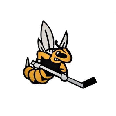 University of Wisconsin-Superior Club Hockey / American Collegiate Hockey Association Division II