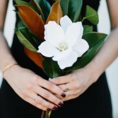 MobileMagnolia's profile picture. 