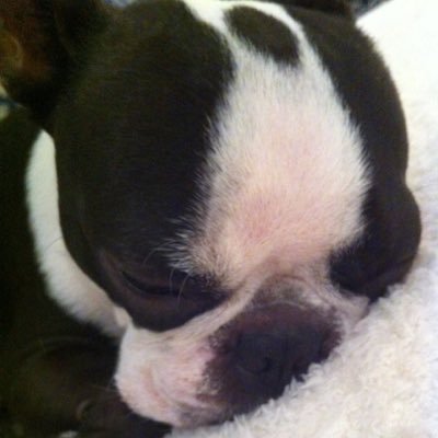 mmmhhh0826's profile picture. 