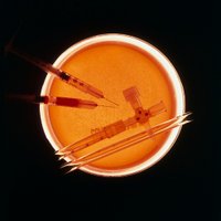 JHU Medical Humanities and Social Medicine (@jhumedhum) 's Twitter Profile Photo JHU Medical Humanities and Social Medicine (@jhumedhum) 's Twitter Profile Photo