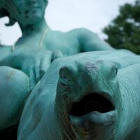 Worcester Turtle Boy (@worcturtleboy) 's Twitter Profile