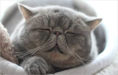 r8Xqwa76lnh4BLm's profile picture. 生活に関するお得な情報や話題のオススメ商品などをご紹介していきます✌
お金の在り方や副業に関する事などもたまに呟きます。

#相互フォロー　#お得情報　