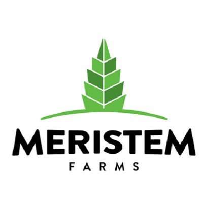 Meristem Farms grows and produces small-batch craft #cannabis flower and products using our unique genetics and super-efficient cultivation systems. #cbd #VT