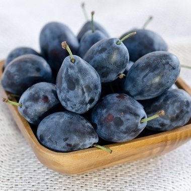 ThePlummyBrummy's profile picture. 🥭