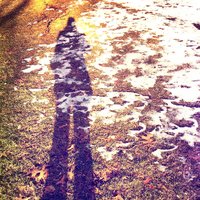 Heather Barninger (@hbarninger) 's Twitter Profile