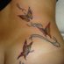 Casal Anonimo (@casalanonimo2) Twitter profile photo Casal Anonimo (@casalanonimo2) Twitter profile photo
