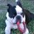 dbalbier's avatar