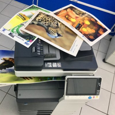 EXICHIAPAS_'s profile picture. Especialistas en #impresiondigital