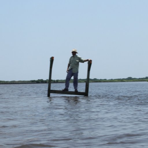 Father, Husband, Son, Aquatic and Landscape Ecologist, Runner