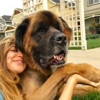 Katie Jackson (@lazyjkatie) 's Twitter Profile