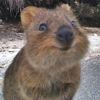 TecWebmedia's profile picture. 東京電子専門学校（略称TEC）ウェブ・メディア科の非公式アカウントです。ウェブ科の情報や10連ガチャの結果などを呟きます。運営しているのはクアッカワラビーだよ！