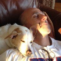 Andy Moss (@andymo) 's Twitter Profile