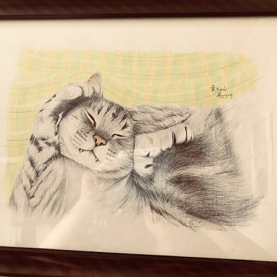 北海道で牛の牧場やってます☆ 動物が大好きすぎる道産子女子です☆ 猫科動物を特に愛でます☆ 猫4匹飼ってます☆ 牧場での牛たちの様子と、うちの猫たちの写真が中心です☆ 牧場関連・動物園・もふもふ系・可愛い動物系アカウントを勝手にたくさんフォローさせていただいてスミマセンです〜( ´ ▽ ` )