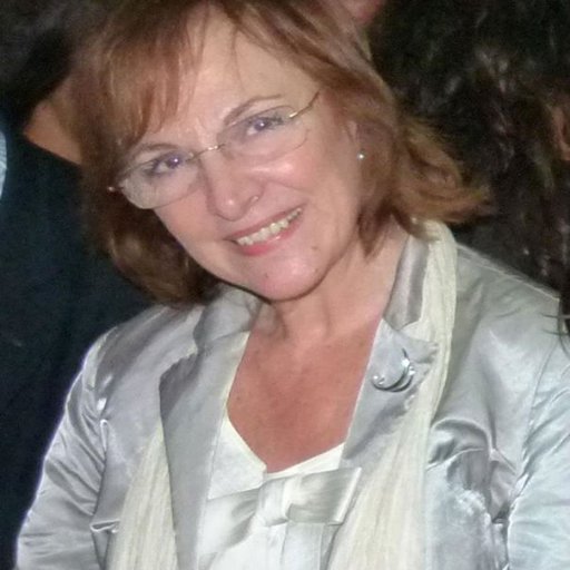 professora,investigadora de média, jornalismo,  comunicação institucional, comunicação política