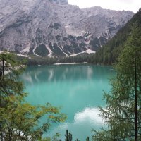 lsaymor (@lsaymor2019) 's Twitter Profile