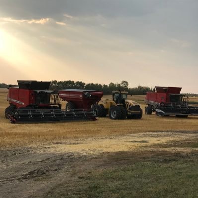 4th generation farmer. instrumentation tech. growing canola, wheat, barley and fababeans. Raise purebred black angus