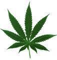 Exploring the pros and cons of legalizing, taxing, and regulating marijuana