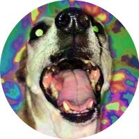 Brad (@behrad812) 's Twitter Profile