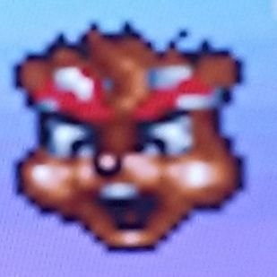 GoAwayStupidAI's profile picture. Cheez? K. thnx
Programming languages of all sorts.