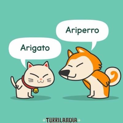 angel_rsmirez's profile picture. 