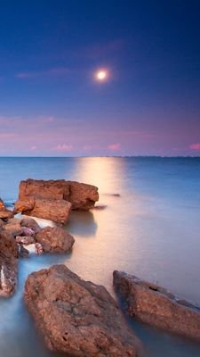 ashabbir736's profile picture. Hiii