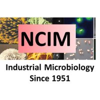 National Collection of Industrial Microorganisms(@NCIM_NCLPune) 's Twitter Profile Photo