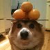 Dylan (@sp6c3inv6d3r) Twitter profile photo Dylan (@sp6c3inv6d3r) Twitter profile photo