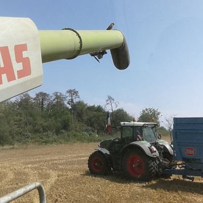 agriculteur passionné de son sol.Céréales betteraves luzerne  oléa proteagineux, semences, plantes médicinales.Betteravier de l'année 2019.ACSTCS.Père et Maire