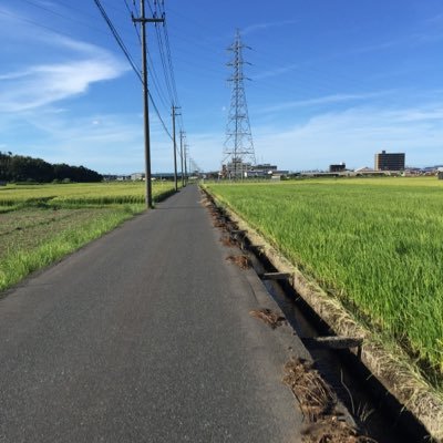 わた ゲームbgm 新しくダイパのbgmとxyのbgm追加しました 9番道路は神 ゲームbgm好きと繋がりたい ポケモン ダイパ Xy わた ゲームbgm 新しくダイパのbgmとxyのbgm追加しました 9番道路は神 ゲームbgm好きと繋がりたい ポケモン ダイパ Xy