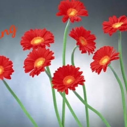 sanjushasingh's profile picture. 